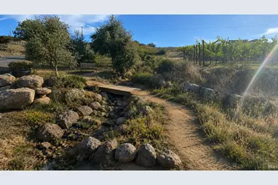2520 Atlas Peak Road, Napa, CA 94558 - Photo 11