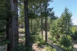 44000 Iversen Rd, Gualala, CA 95445 - Photo 51