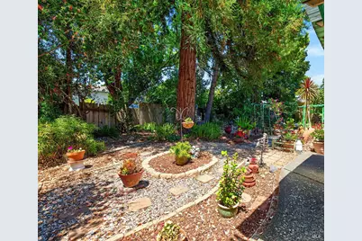901 Catalpa Way, Petaluma, CA 94954 - Photo 45