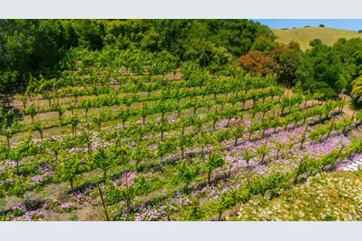 25 Saddle Lane, Novato, CA 94947 - Photo 55