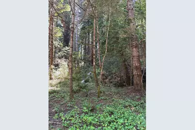 10181 Sorcerer Wood, The Sea Ranch, CA 95497 - Photo 1