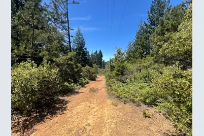 33482 Iversen Road, Gualala, CA 95445 - Photo 9