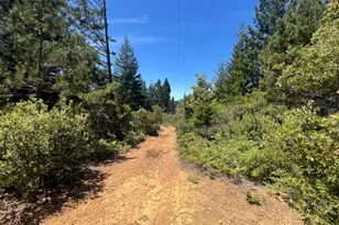 33482 Iversen Rd, Gualala, CA 95445 - Photo 9