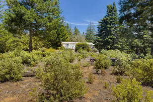 33482 Iversen Rd, Gualala, CA 95445 - Photo 5