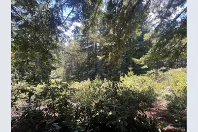 33482 Iversen Road, Gualala, CA 95445 - Photo 15