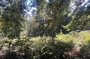 33482 Iversen Rd, Gualala, CA 95445 - Photo 15