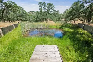 11000 Loch Haven Dr, Santa Rosa, CA 95404 - Photo 11