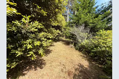 76 Compass Close, The Sea Ranch, CA 95497 - Photo 9