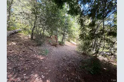 76 Compass Close, The Sea Ranch, CA 95497 - Photo 5