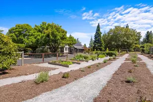 8550 Templeman Rd, Forestville, CA 95436 - Photo 71