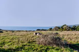 384 Madrone Meadow, The Sea Ranch, CA 95497 - Photo 45