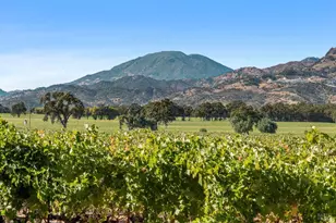 3486 St Helena Hwy, Saint Helena, CA 94574 - Photo 13