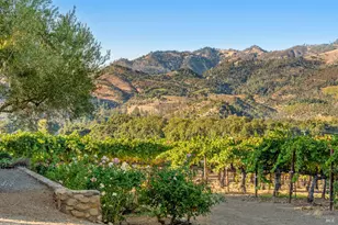 3486 St Helena Hwy, Saint Helena, CA 94574 - Photo 55