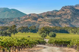 3486 St Helena Hwy, Saint Helena, CA 94574 - Photo 1