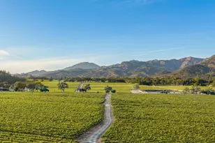 3486 St Helena Hwy, Saint Helena, CA 94574 - Photo 61