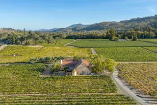 3486 St Helena Hwy, Saint Helena, CA 94574 - Photo 3