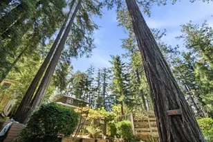 35 Sylvan Way, Woodacre, CA 94973 - Photo 59