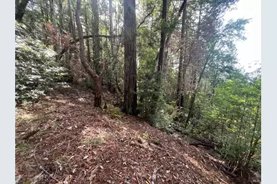 30055 Seaview Road, Cazadero, CA 95421 - Photo 5