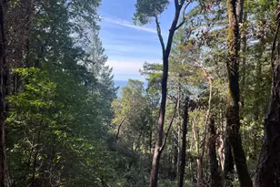 30055 Seaview Rd, Cazadero, CA 95421 - Photo 1