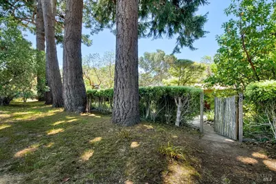 95 Forres Way, Inverness, CA 94937 - Photo 39