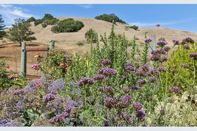 964 Del Ganado Road, San Rafael, CA 94903 - Photo 45
