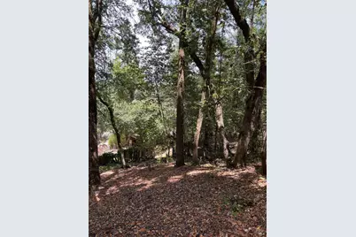 9868 Hillside Drive, Forestville, CA 95436 - Photo 1