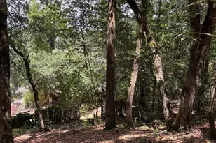 9868 Hillside Dr, Forestville, CA 95436 - Photo 1