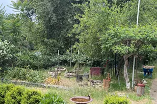 56800 US-101, Laytonville, CA 95454 - Photo 25