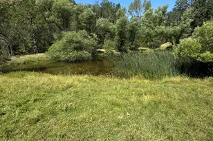 12955 Bottle Rock Rd, Kelseyville, CA 95451 - Photo 9