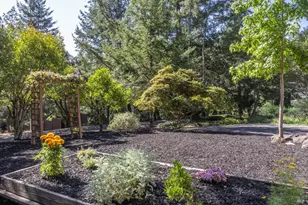 2097 Manzanita Ave, Santa Rosa, CA 95404 - Photo 7