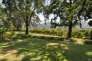 7491 St Helena Hwy, Napa, CA 94558 - Photo 65