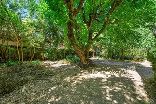 10590 Grays Rd, Forestville, CA 95436 - Photo 5