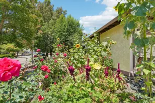 6644 Greenmeadow Dr, Santa Rosa, CA 95409 - Photo 9