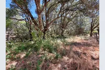0 Lone Pine Drive, Redwood Valley, CA 95470 - Photo 19