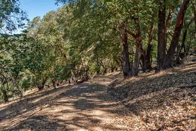24051 Fig Tree Lane, Yorkville, CA 95494 - Photo 21