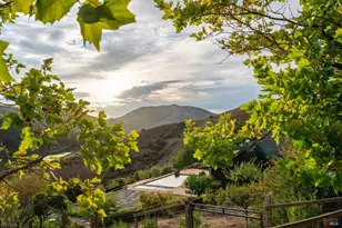 6381 Nicasio Valley Rd, Nicasio, CA 94946 - Photo 99