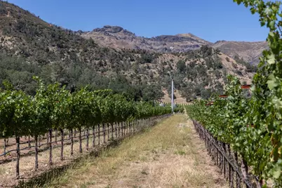 0 Rosedale Road, Calistoga, CA 94515 - Photo 21