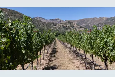 0 Rosedale Road, Calistoga, CA 94515 - Photo 17