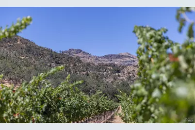 0 Rosedale Road, Calistoga, CA 94515 - Photo 19