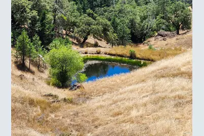 3550 Chinquapin Drive, Willits, CA 95490 - Photo 15