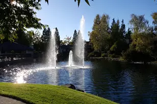 29 Fountain Grove Cir, Napa, CA 94558 - Photo 29