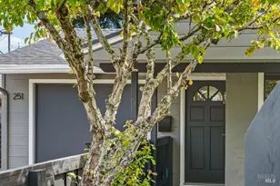 251 Flamingo Rd, Mill Valley, CA 94941 - Photo 47