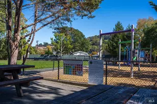 251 Flamingo Rd, Mill Valley, CA 94941 - Photo 49