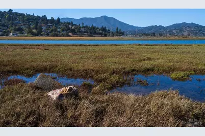 251 Flamingo Road, Mill Valley, CA 94941 - Photo 59
