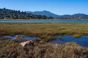 251 Flamingo Rd, Mill Valley, CA 94941 - Photo 59