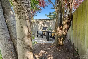 251 Flamingo Rd, Mill Valley, CA 94941 - Photo 43