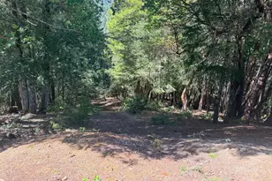 24193 Willow Ln, Willits, CA 95490 - Photo 1