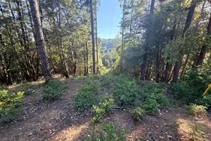 24193 Willow Ln, Willits, CA 95490 - Photo 1