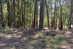 26940 Bear Dr, Willits, CA 95490 - Photo 1
