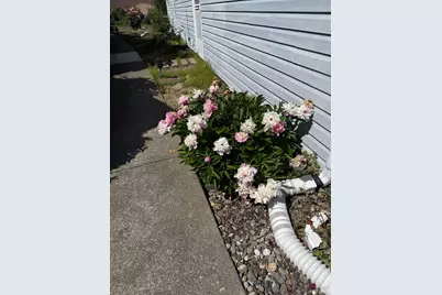 212 Julie Place, Napa, CA 94558 - Photo 31